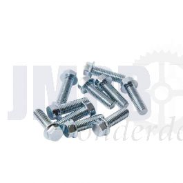Carter Flensbout Per Stuk M6X20 Model Honda