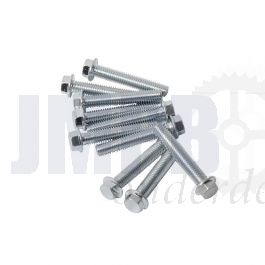 Carter Flensbout Per Stuk M6X35 Model Honda