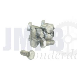 Bout Zeskant M8X16 RVS Din 933