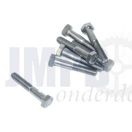 Bout Zeskant M6X35 RVS Din 931