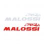 Stickerset Malossi 2-Delig 25CM