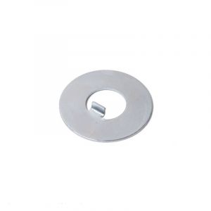 Borgplaat 12MM Din 462