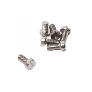 Cilinderbout M5X10 RVS Din 84