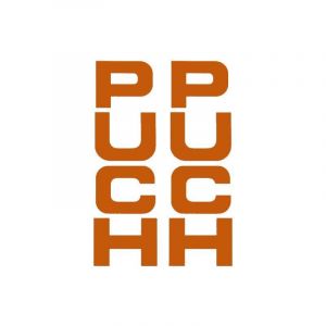 Stickerset Voorvork Puch Maxi Oranje 26X94MM