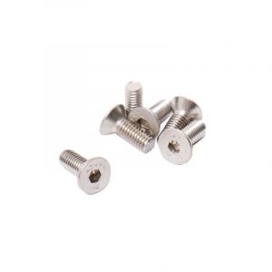 Bout Verzonken M4X10 RVS Din 7991