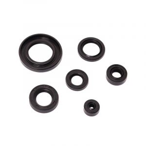 Keerringset Compleet Suzuki TSX