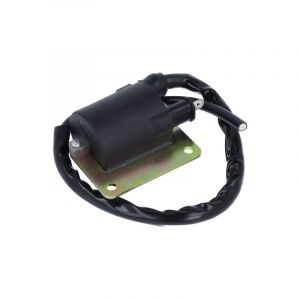 Bobine 6 Volt Puch / Vespa Zwart