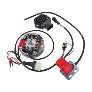 Selettra Binnenrotor Ontsteking met Lichtspoel