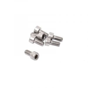 Inbusbout M5X10 RVS Din 912