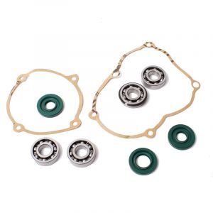 Lagerset NTN Puch Maxi OT + Keerringen
