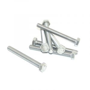 Bout Zeskant M10X90 RVS Din 933