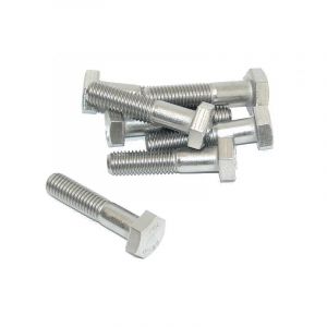 Bout Zeskant M10X45 RVS Din 931