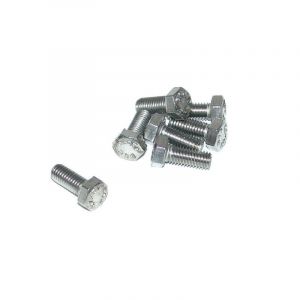 Bout Zeskant M5X12 RVS Din 933