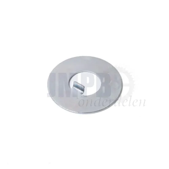 Borgplaat 12MM Din 462