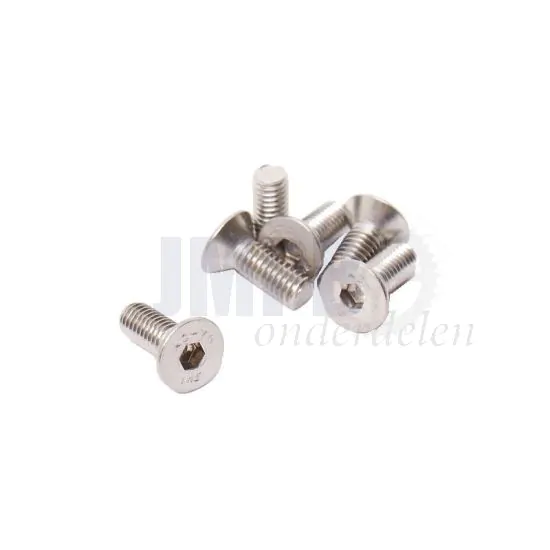 Bout Verzonken M4X10 RVS Din 7991