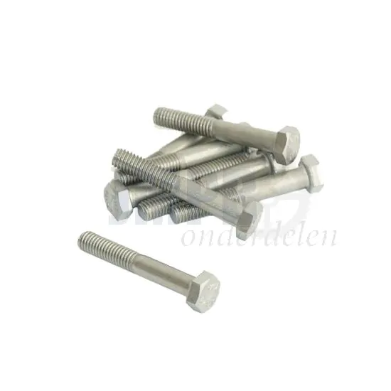 Bout Zeskant M6X40 RVS Din 931