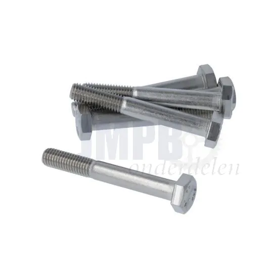 Bout Zeskant M10X75 RVS Din 931