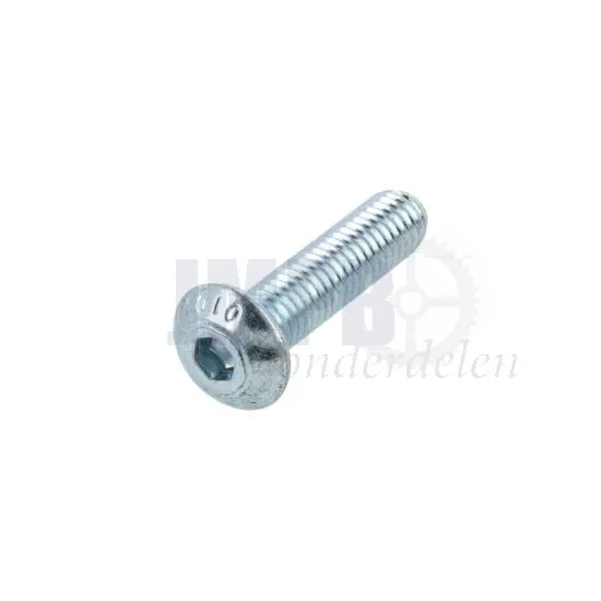 Laagbolkopschroef M5X20 Inbus Verzinkt ISO 7380
