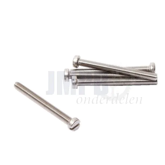 Cilinderbout M6X65 RVS Din 84