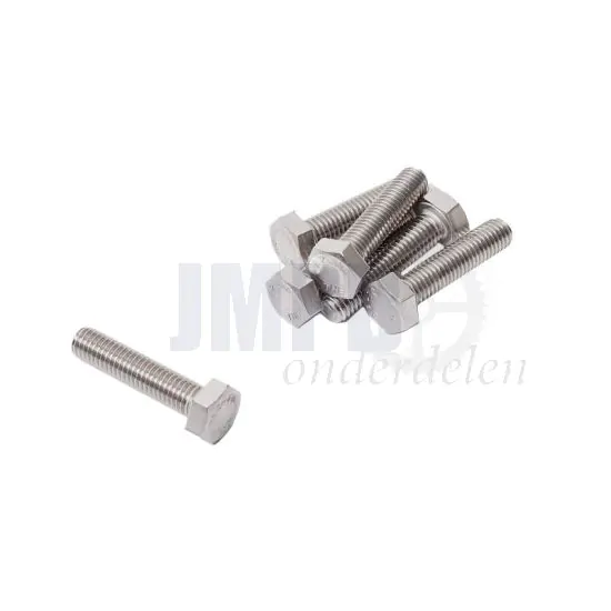 Bout Zeskant M6X35 RVS Din 933