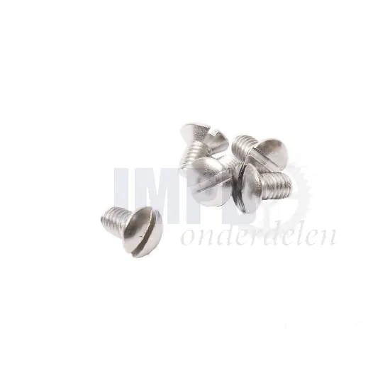 Lensbout M6X10 RVS Din 964