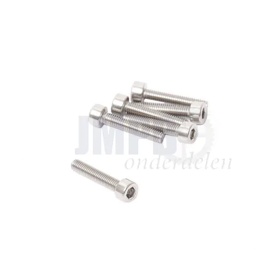 Inbusbout M4X20 RVS Din 912