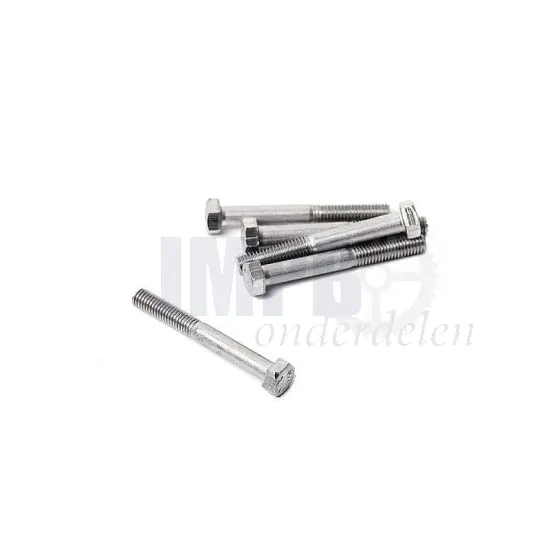 Bout Zeskant M5X40 RVS Din 931