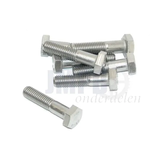 Bout Zeskant M10X45 RVS Din 931