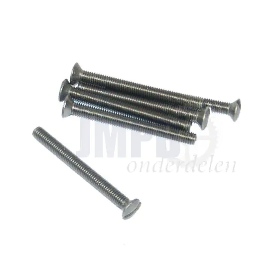 Lensbout RVS M6X60 Din 964