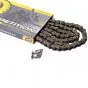 Ketting SFR 415 / 100 Schakels