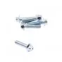 Flensbout ELVZ M6X25 SW8