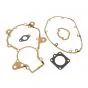 Pakkingset Compleet Puch MV50 50CC DMP