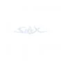 Sticker Solex Wit 70X17MM