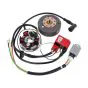 Ontsteking Kokusan EVO 2 Plus Red Line 12 Volt