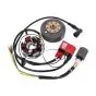Ontsteking Kokusan EVO 2 Plus Red Line 6 Volt