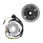Ontsteking Kokusan Imitatie 50CC 6 Volt