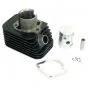 50CC Cilinder Citta/Ciao/Si DR P12