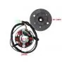 Ontsteking EVO2 Plus Geforceerde Koeling 12 Volt Zundapp/Kreidler