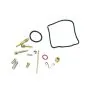 Carburateur Revisieset 24MM Mokini