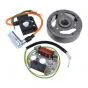 Ontsteking Electronisch Model Bosch Zundapp/Kreidler/Puch